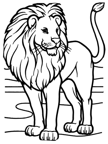 African Lion Coloring Page